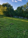 Teren intravilan Pucioasa