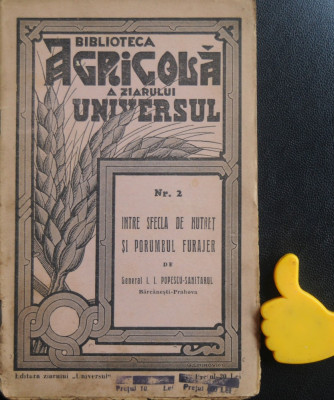 Intre sfecla de nutret si porumbul furajer Biblioteca Agricola foto