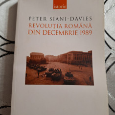 Peter Siani-Davies, Revolutia romana din decembrie 1989
