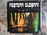 Album Pestera Closani VASILE DECU