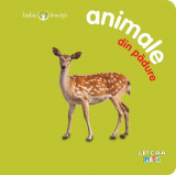 Cumpara ieftin Bebe &icirc;nvață: Animale din pădure