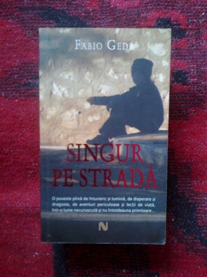 e3 SINGUR PE STRADA - FABIO GEDA foto