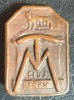 CLUJ 1924 TARGUL MOSILOR/ ,,Lupa Capitolina&quot;/ INSIGNA VECHE DE COLECTIE (33 x 22 mm.)