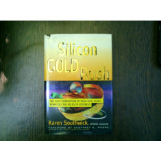 Silicon Gold Rush - karen Southwick