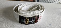 CENTURA ALBA ARTE MARTIALE 2/150 EDO JAPAN HARU