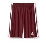 Pantaloni scurti pentru copii Adidas Squad 21 Sho Y, visiniu, 152 - OUTLET