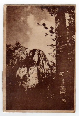 BUCEGI BUCSOIUL EDITURA DE STAT RPR NR130 foto