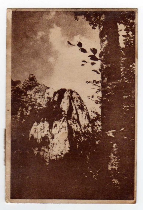 BUCEGI BUCSOIUL EDITURA DE STAT RPR NR130