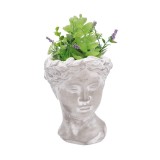 Cumpara ieftin Plante artificiale suculente in ghiveci IIII 14 x 14 x 27 cm