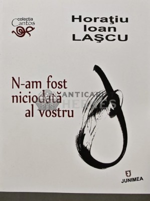 N-am fost niciodata al vostru - 2017 - Horatiu Ioan Lascu (AQ261) foto