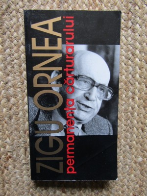 PERMANENTA CARTURARULUI de ZIGU ORNEA , 2002 foto