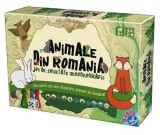 Joc de societate Zoo geografic animale din Romania