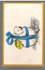 CPIB 17385 FELICITARE - PUISORI IESIND DIN GAOACE, Circulata, Fotografie