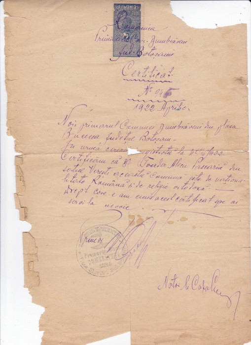 AMS @ - CERTIFICAT PRIMĂRIA COM. DUMBRĂVENI, JUD. BOTOȘANI,1922, stare precara
