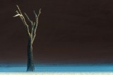 Tablou Canvas, "Arborele singuratic sub cerul &icirc;ntunecat", Singurătate, Liniște, Minimalism, Contrast, Deșert, &Icirc;ntuneric, Arborii, Simplitate, Natură,