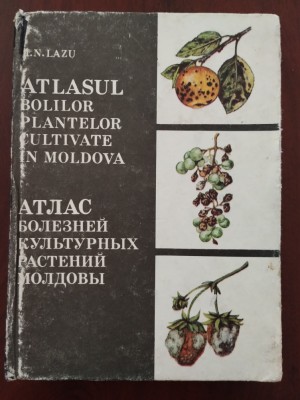Atlasul bolilor plantelor cultivate &amp;icirc;n Moldova / M. N. Lazu 1992 rom&amp;acirc;nă-rusă foto