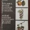 Atlasul bolilor plantelor cultivate &icirc;n Moldova / M. N. Lazu 1992 rom&acirc;nă-rusă