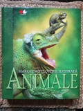 MAREA ENCICLOPEDIE ILUSTRATA * ANIMALE , 2009