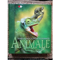 MAREA ENCICLOPEDIE ILUSTRATA * ANIMALE , 2009