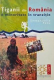 Tiganii din Romania. O minoritate in tranzitie - Emmanuelle Pons