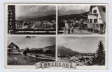 MOZAIC VALEA PRAHOVEI PREDEAL RPR