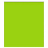 vidaXL Jaluză cu role opace 120x175 cm Lățime material 116,6 cm 4011288