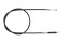 Foto  - 1