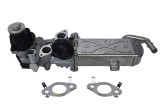 Modul Egr Cu Racitor Gaze 546269 74111