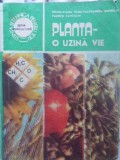 PLANTA - O UZINA VIE-DOINA-LIANA TOMA, AL. MANOLIU, VALERIU ZANOSCHI