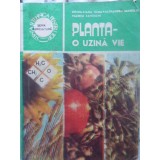 PLANTA - O UZINA VIE-DOINA-LIANA TOMA, AL. MANOLIU, VALERIU ZANOSCHI-231857