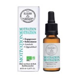 &quot;ELIXIR&quot; PENTRU RECĂPĂTAREA DORINȚEI MOTIVAȚIEI | FII PERSEVERENT !