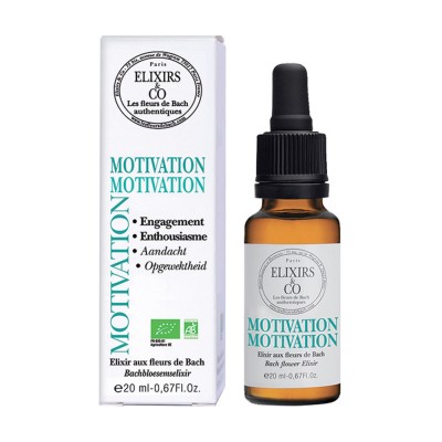 &amp;quot;ELIXIR&amp;quot; PENTRU RECĂPĂTAREA DORINȚEI MOTIVAȚIEI | FII PERSEVERENT ! foto