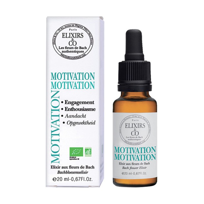 &quot;ELIXIR&quot; PENTRU RECĂPĂTAREA DORINȚEI MOTIVAȚIEI | FII PERSEVERENT !