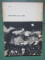 Foto  - 2