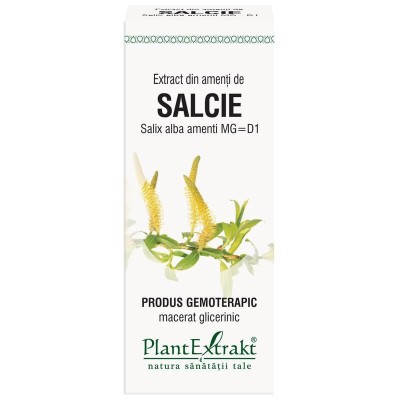 Extract Amenti Salcie 50ml PlantExtrakt foto