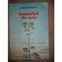 Trandafirul din nisip- Adrian Bocsan