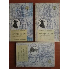 Nicolae Iorga - O viata de om asa cum a fost 3 volume