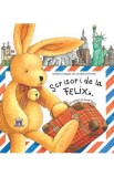 Scrisori de la Felix - Annette Langen