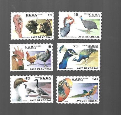 cuba animale mnh foto