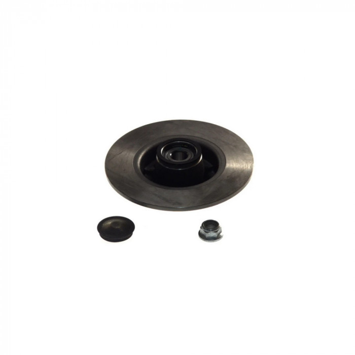 Disc frana RENAULT MEGANE II Coup&iuml;&iquest;&frac12;-Cabriolet EM0 1 ATE 24010801142