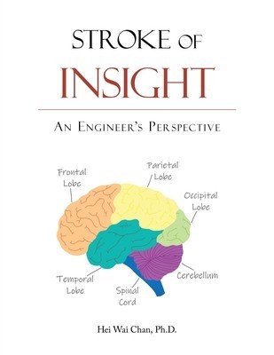 Stroke of Insight: An Engineer&amp;#039;s Perspective foto