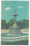 33 - CRAIOVA, Bibescu Park, statue, Romania - old postcard - unused