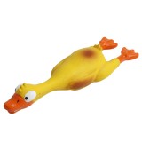 Jucarie M pentru caini, 4Dog, latex, diverse modele