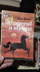 Ingerul a strigat &amp;amp;#8211; Fanus Neagu foto