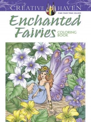 Creative Haven Enchanted Fairies Coloring Book foto