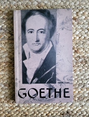 GOETHE-TUDOR VIANU foto