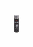 Cumpara ieftin Spray vopsea Profesional CHAMPION pentru JANTE 500ml Argintiu
