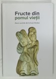 FRUCTE DIN POMUL VIETII, ZECE CUVINTE DE LA ISUS HRISTOS de DANIEL BRINZAN, 2025