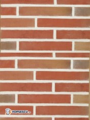 Coltar klinker mic Terca Linnaeus Robinia, 255/60x48x23 foto