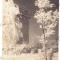 5319 - SIBIU, Gusterita, cimitirul eroilor - old postcard, real PHOTO - unused